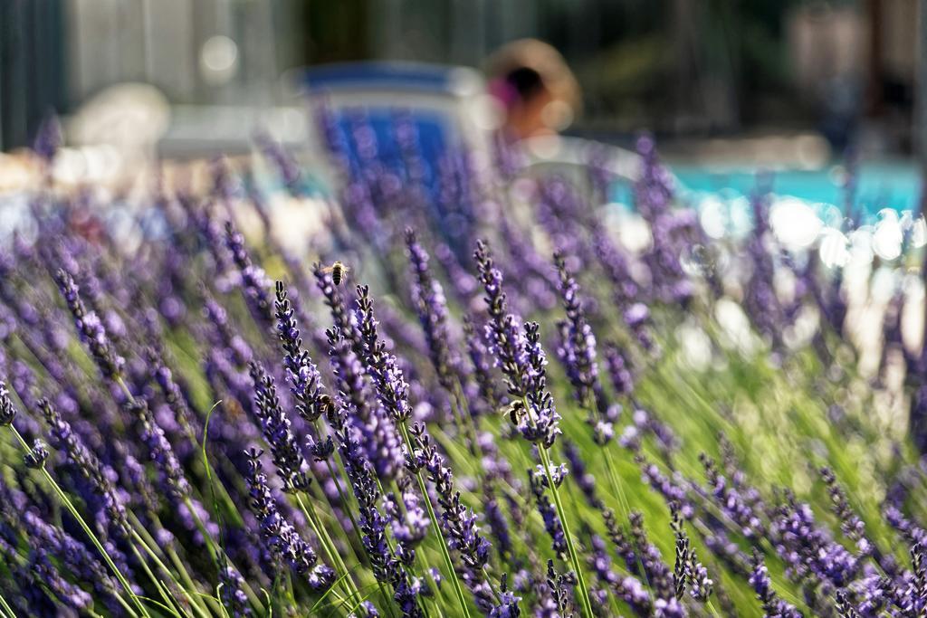 Logis Des Trois Maures Hotel Couches ภายนอก รูปภาพ